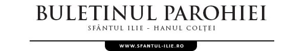 header6-600x204